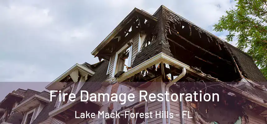  Fire Damage Restoration Lake Mack-Forest Hills - FL