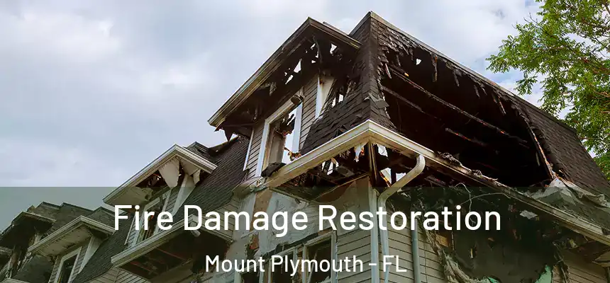  Fire Damage Restoration Mount Plymouth - FL