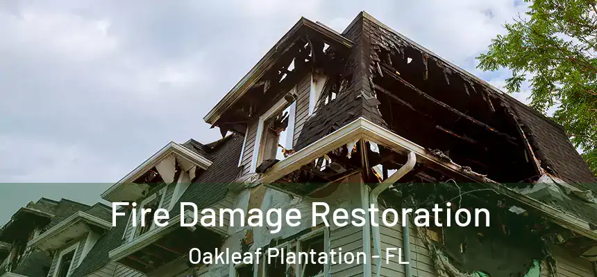  Fire Damage Restoration Oakleaf Plantation - FL