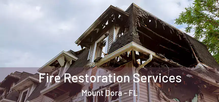  Fire Restoration Services Mount Dora - FL