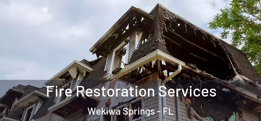  Fire Restoration Services Wekiwa Springs - FL