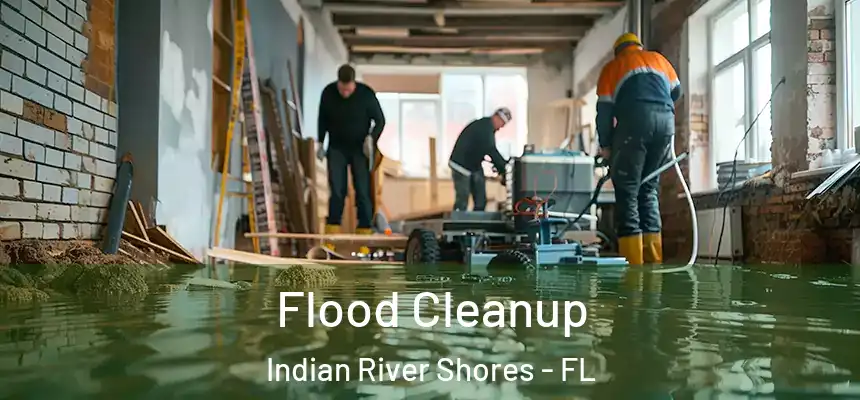  Flood Cleanup Indian River Shores - FL