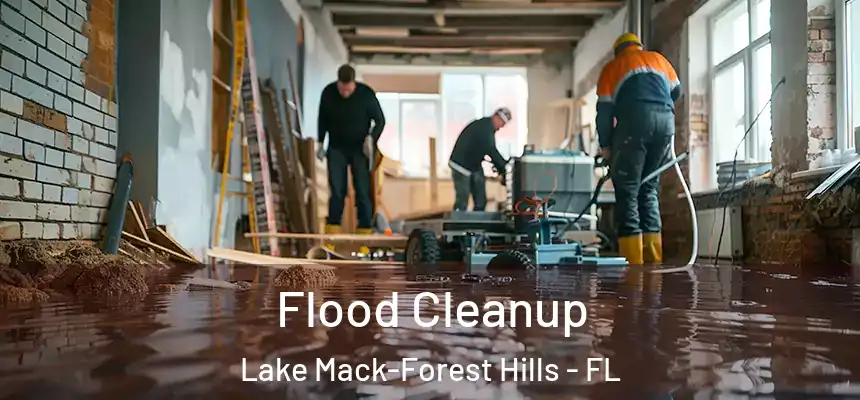  Flood Cleanup Lake Mack-Forest Hills - FL