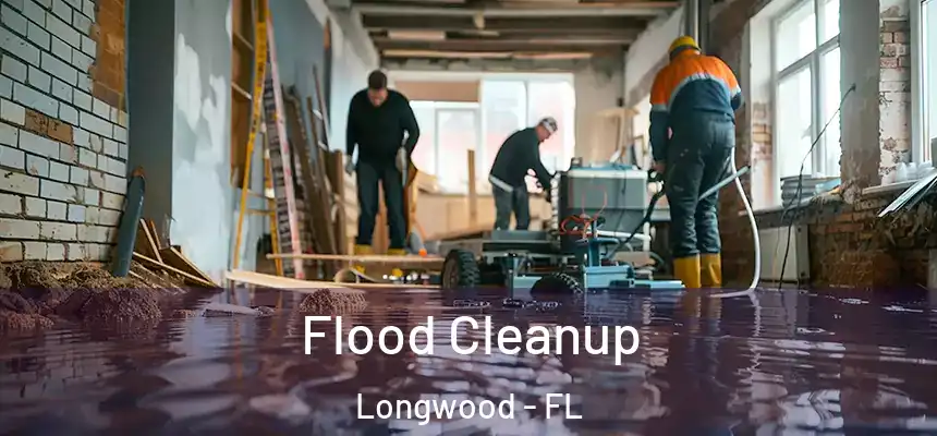  Flood Cleanup Longwood - FL