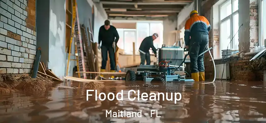  Flood Cleanup Maitland - FL