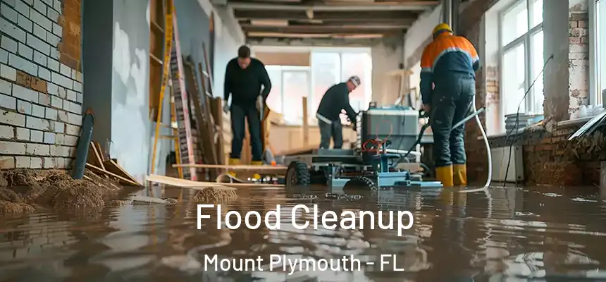  Flood Cleanup Mount Plymouth - FL