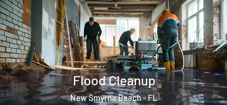  Flood Cleanup New Smyrna Beach - FL