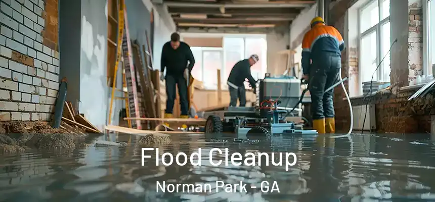  Flood Cleanup Norman Park - GA