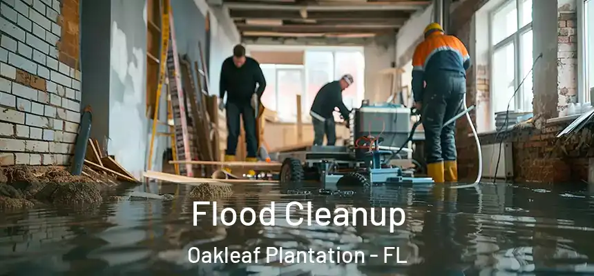 Flood Cleanup Oakleaf Plantation - FL