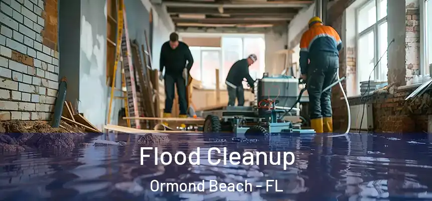  Flood Cleanup Ormond Beach - FL