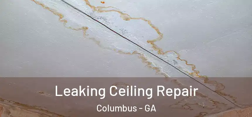  Leaking Ceiling Repair Columbus - GA