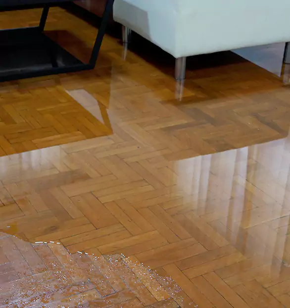 Trusted Emergency Water Restoration Company in Columbus, GA