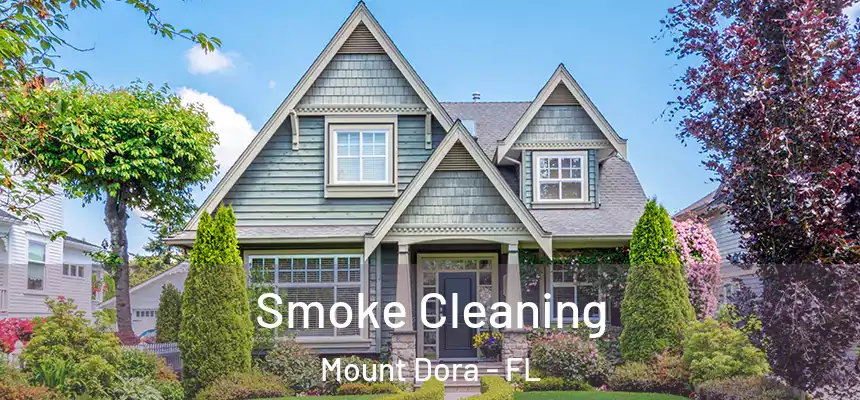  Smoke Cleaning Mount Dora - FL