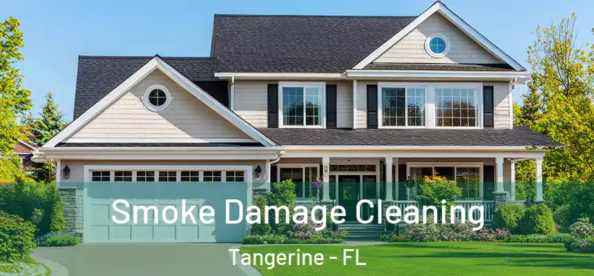  Smoke Damage Cleaning Tangerine - FL